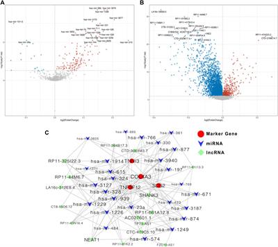 Identification of Angiogenesis-Related Prognostic Biomarkers Associated With Immune Cell Infiltration in Breast Cancer